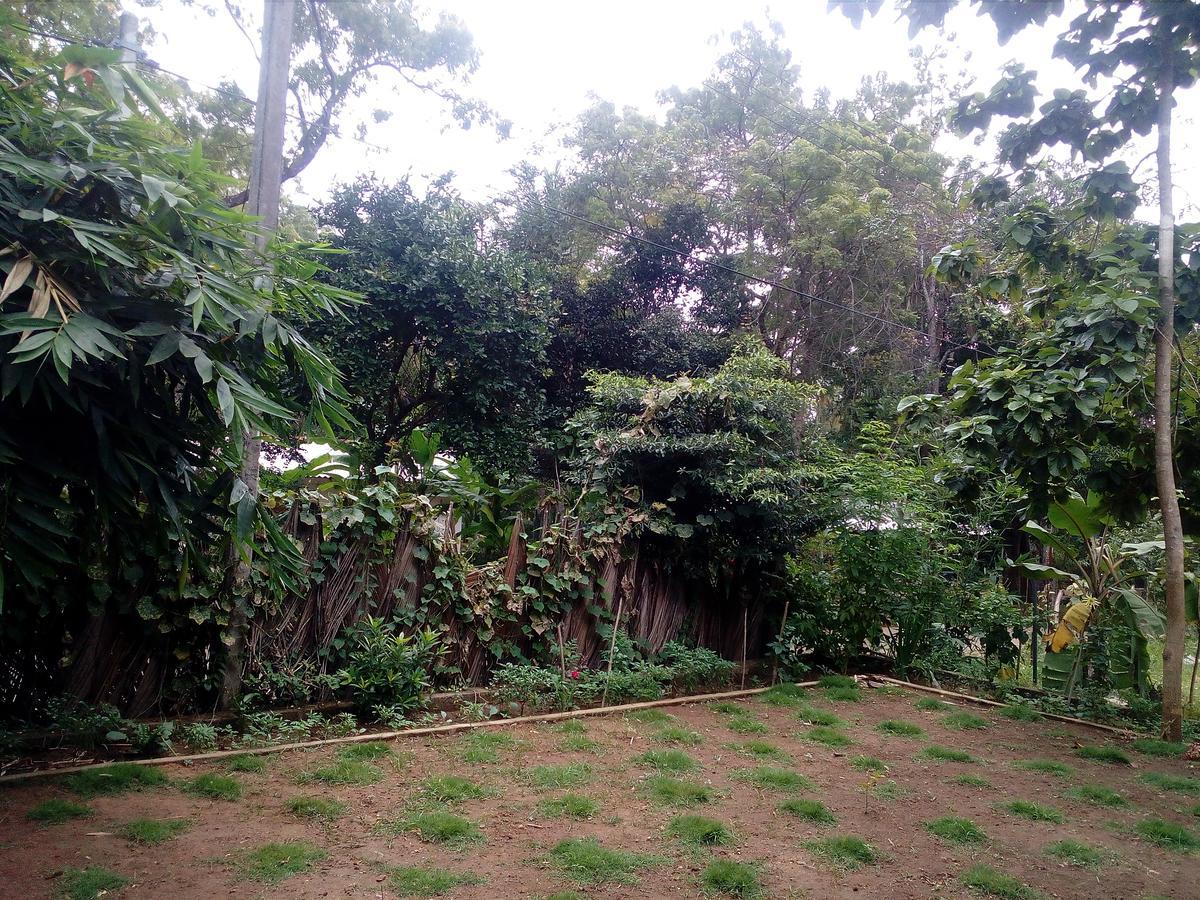 Thuruliya Residence สิกิริยา ภายนอก รูปภาพ